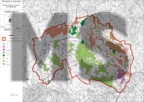 carta_ambientale