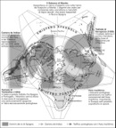 carta1
