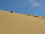 NZL 26-02-2003 sand diving